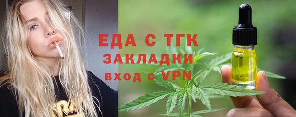 индика Балахна