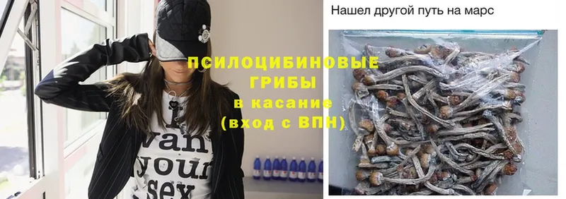 Галлюциногенные грибы Magic Shrooms Верхнеуральск